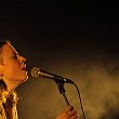 thus owls-32066